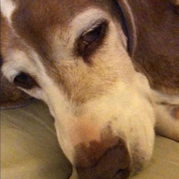 Meet your Posher, Josef - Picture 1 of 1